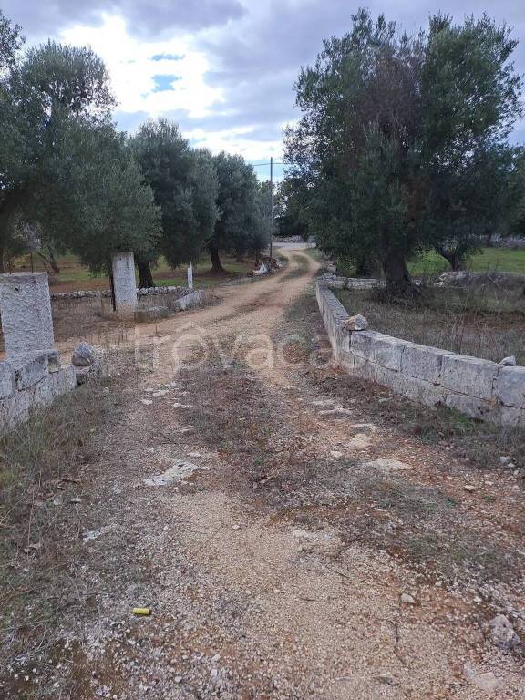 immagine annuncio 6 di 7
