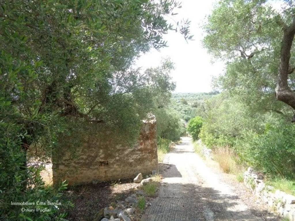 immagine annuncio 1 di 8