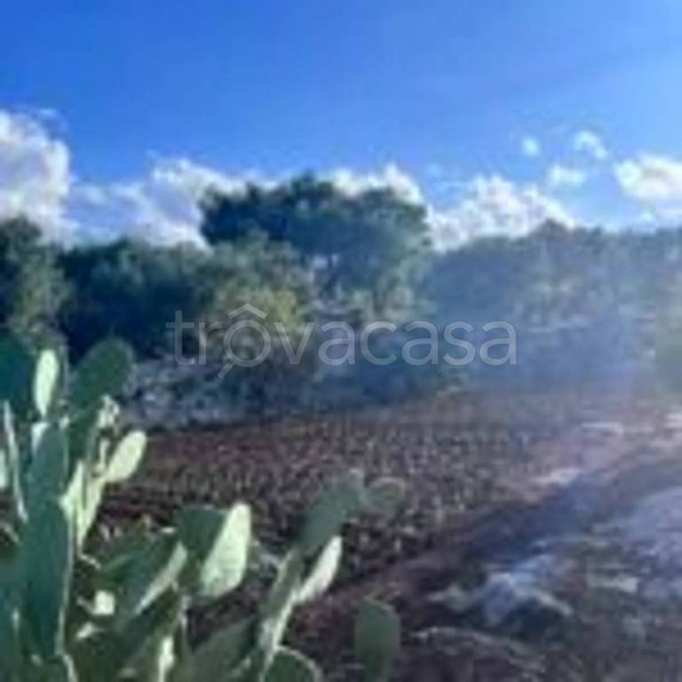 immagine annuncio 9 di 13