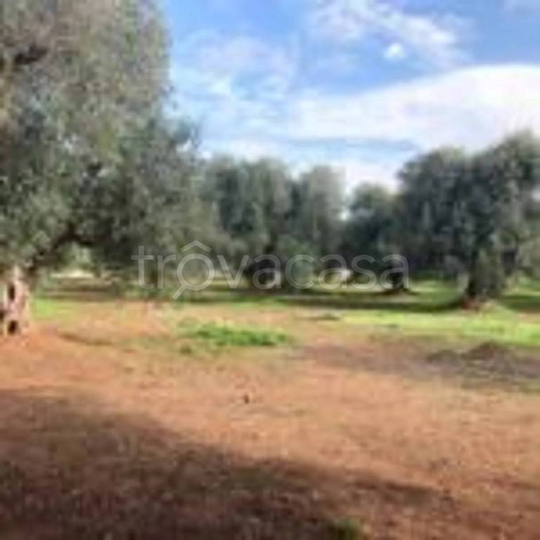 immagine annuncio 3 di 8