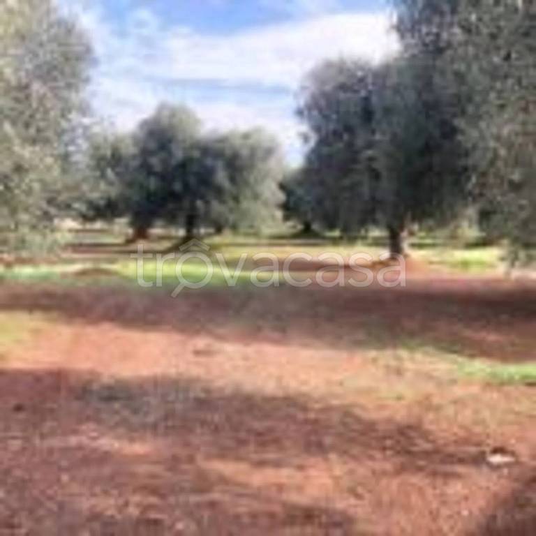 immagine annuncio 6 di 8