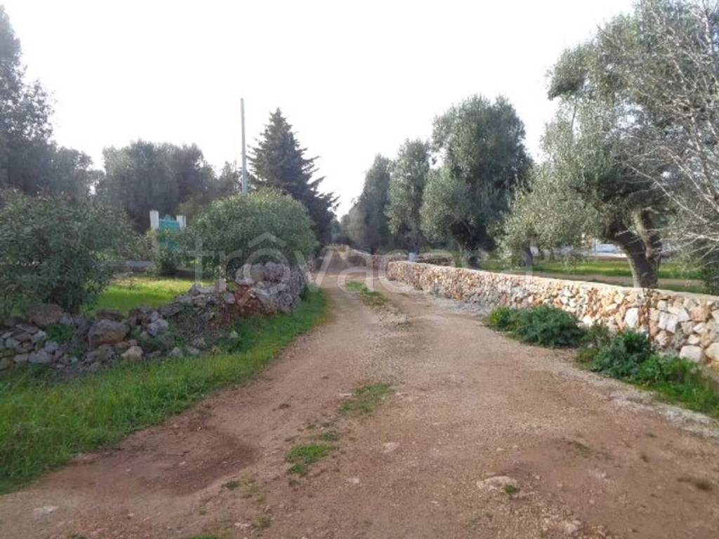 immagine annuncio 10 di 13