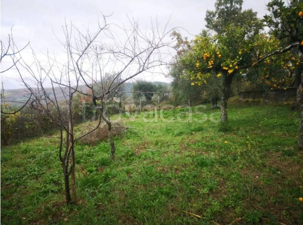 immagine annuncio 4 di 6
