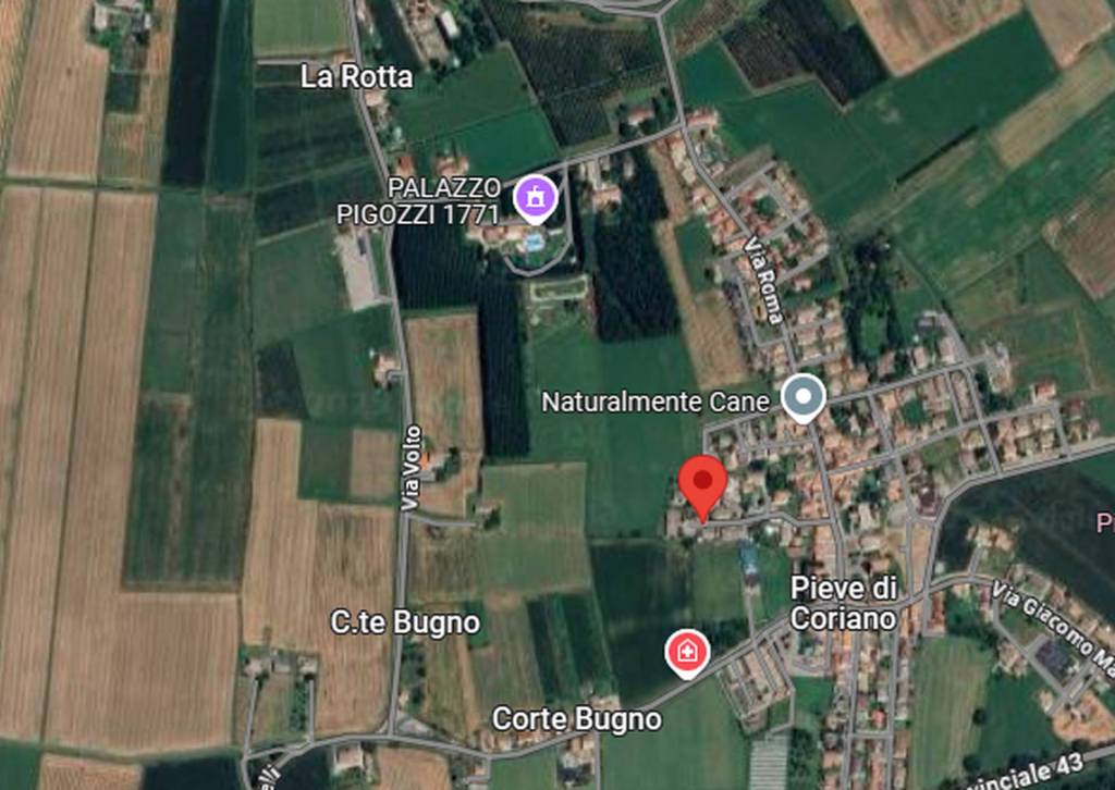 immagine annuncio 7 di 12
