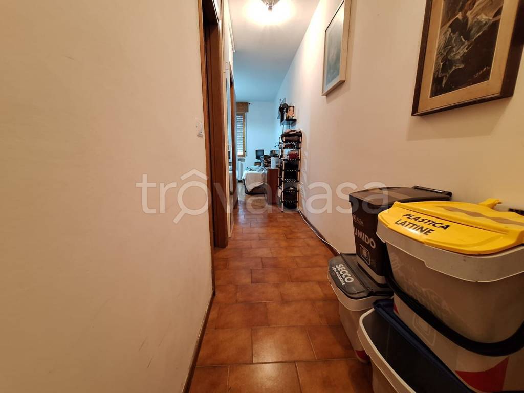 immagine annuncio 5 di 12