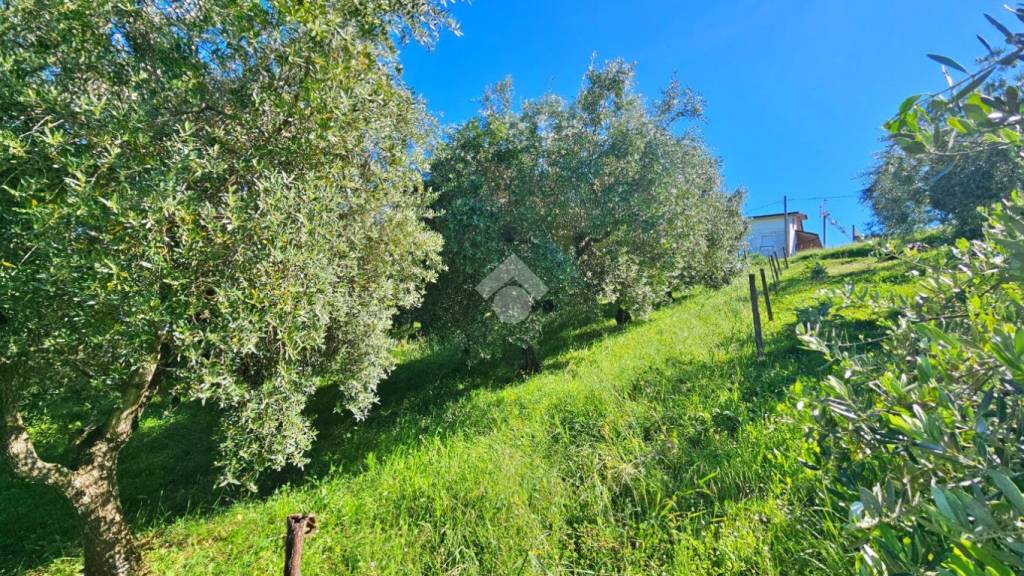 immagine annuncio 6 di 8