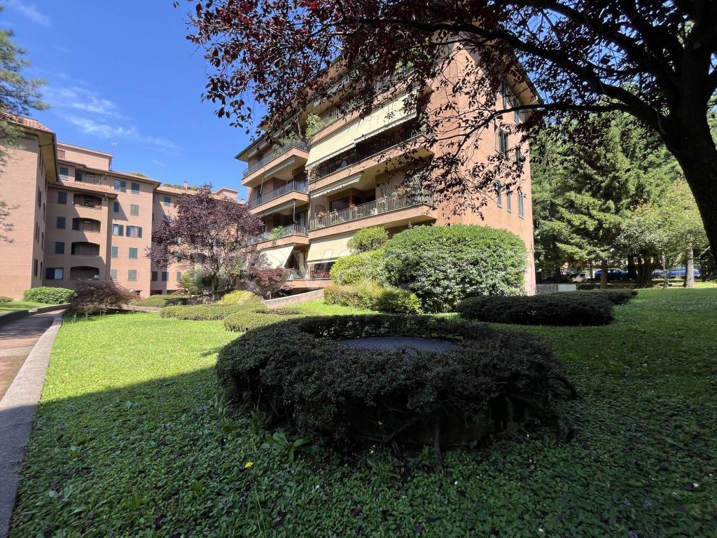 immagine annuncio 10 di 13