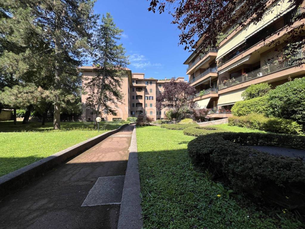 immagine annuncio 11 di 13