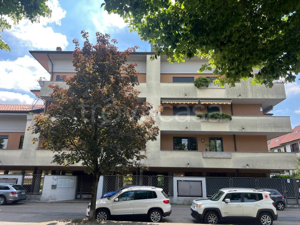 immagine annuncio 7 di 15