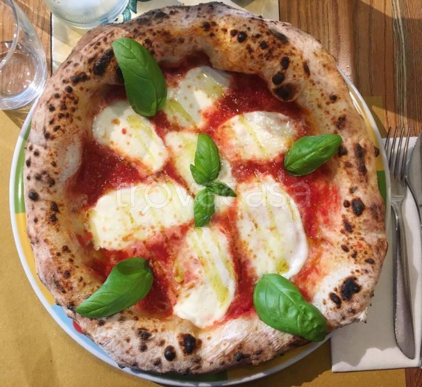 immagine annuncio 9 di 12