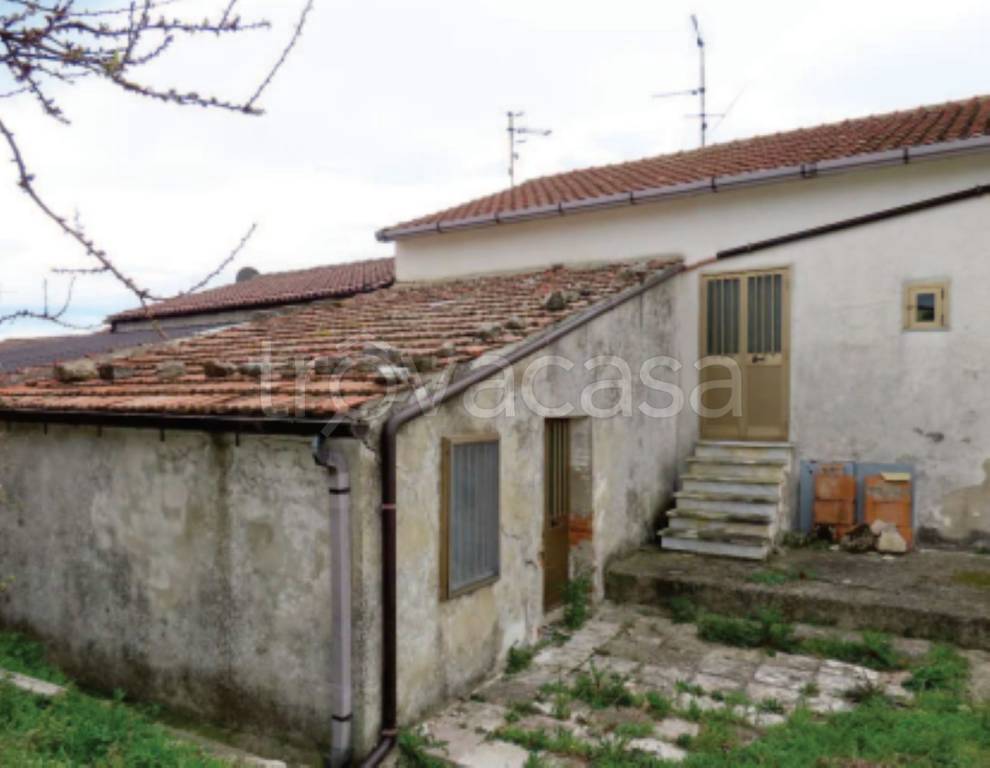 immagine annuncio 9 di 12