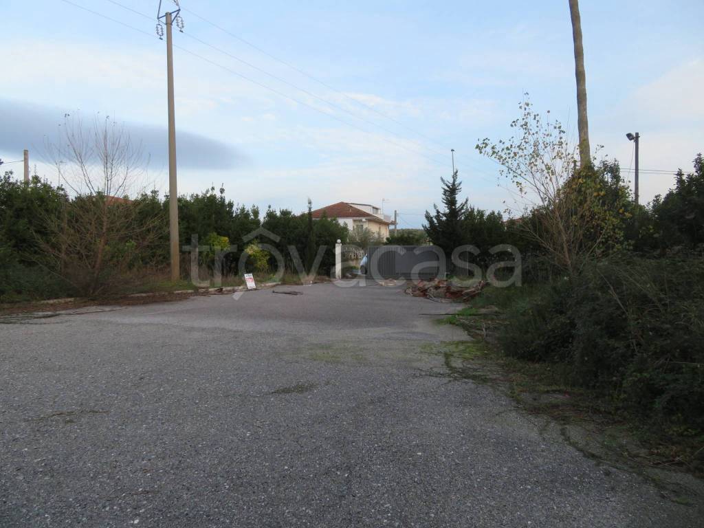 immagine annuncio 3 di 4