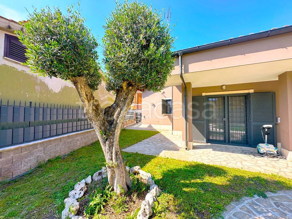 immagine annuncio 10 di 15