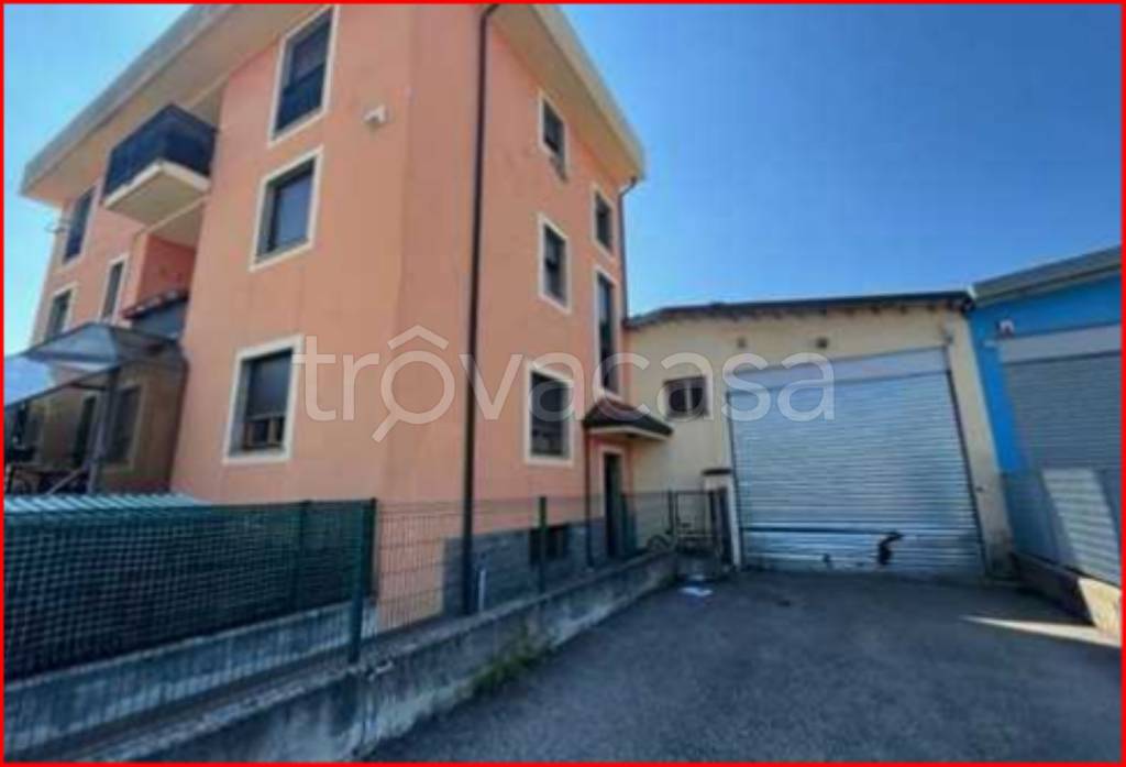 immagine annuncio 1 di 12