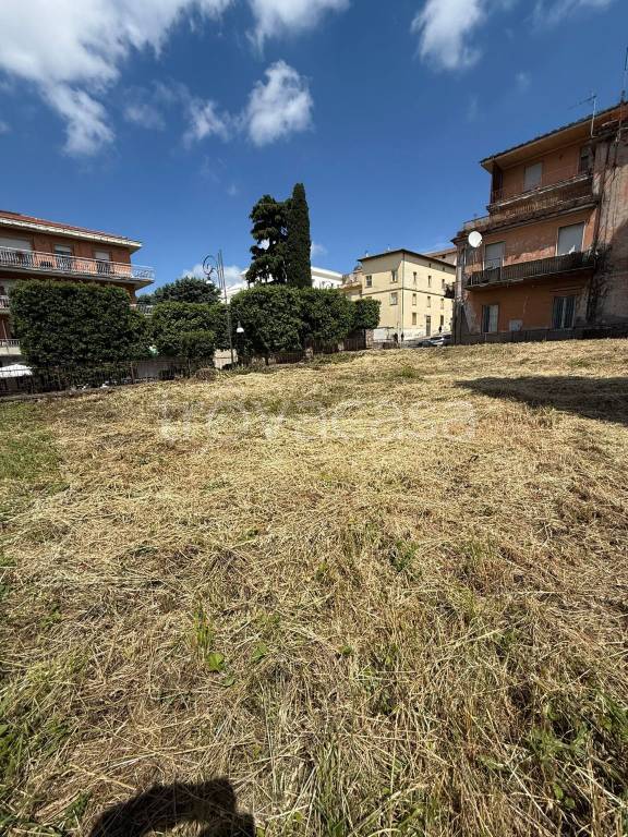 immagine annuncio 5 di 7