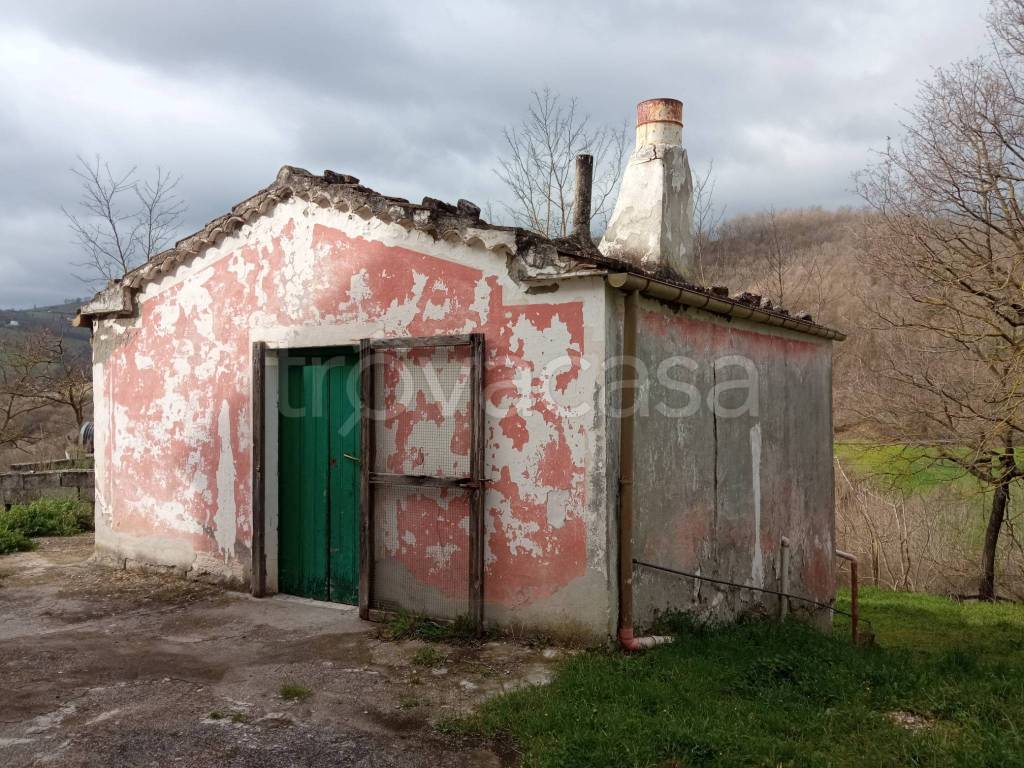 immagine annuncio 7 di 15