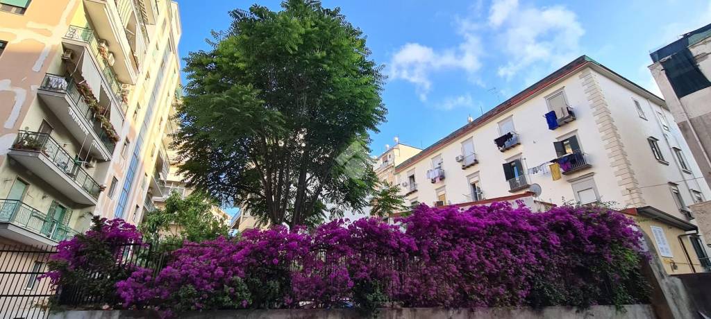 immagine annuncio 8 di 13