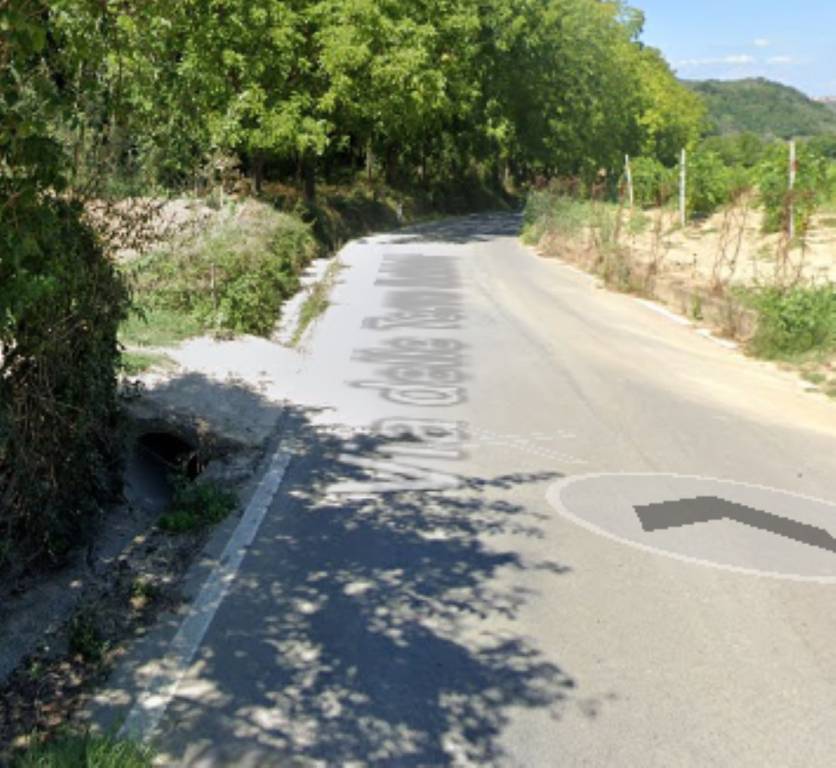 immagine annuncio 3 di 11