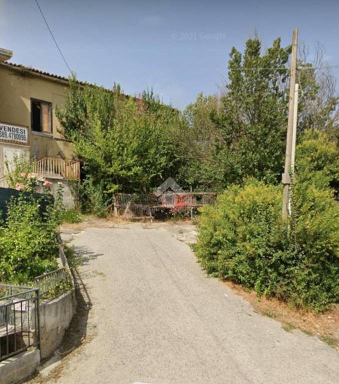 immagine annuncio 3 di 12