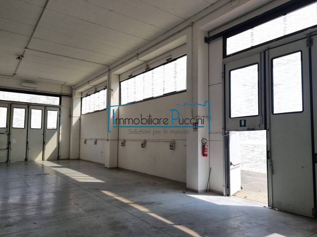 immagine annuncio 2 di 7