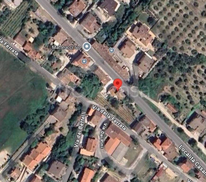 immagine annuncio 2 di 11