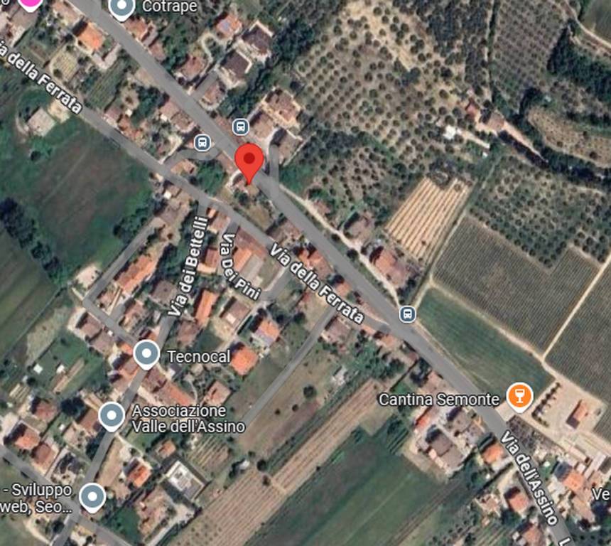 immagine annuncio 3 di 11