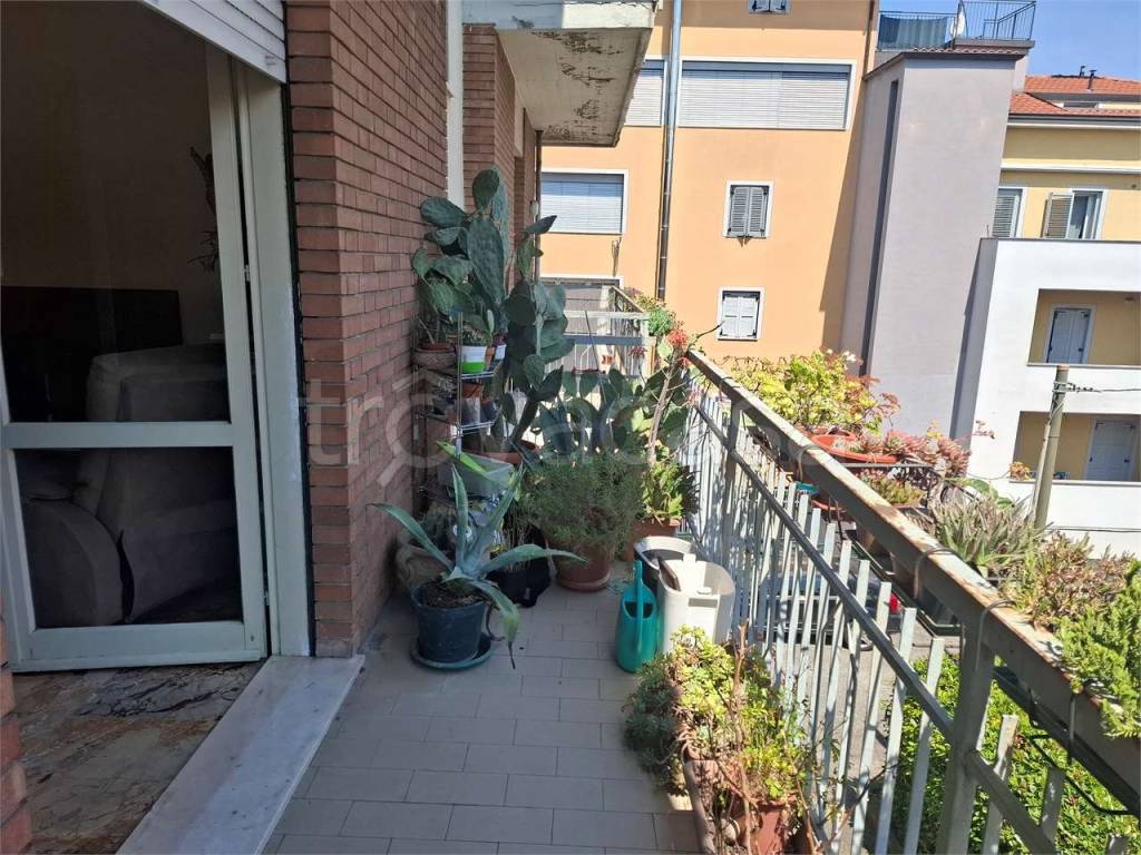 immagine annuncio 2 di 12