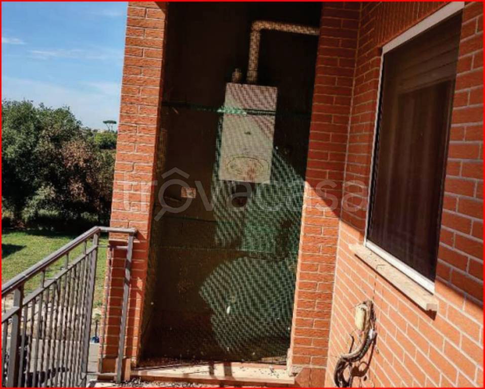 immagine annuncio 9 di 12