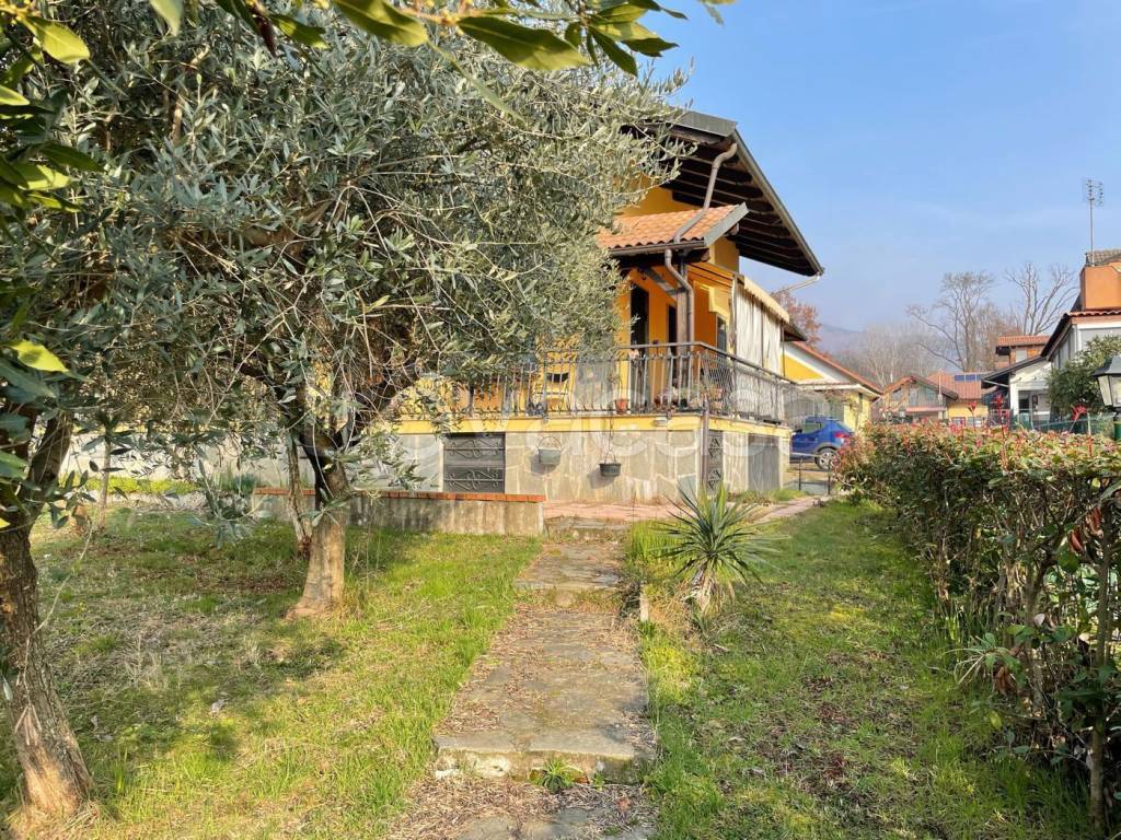 immagine annuncio 5 di 15