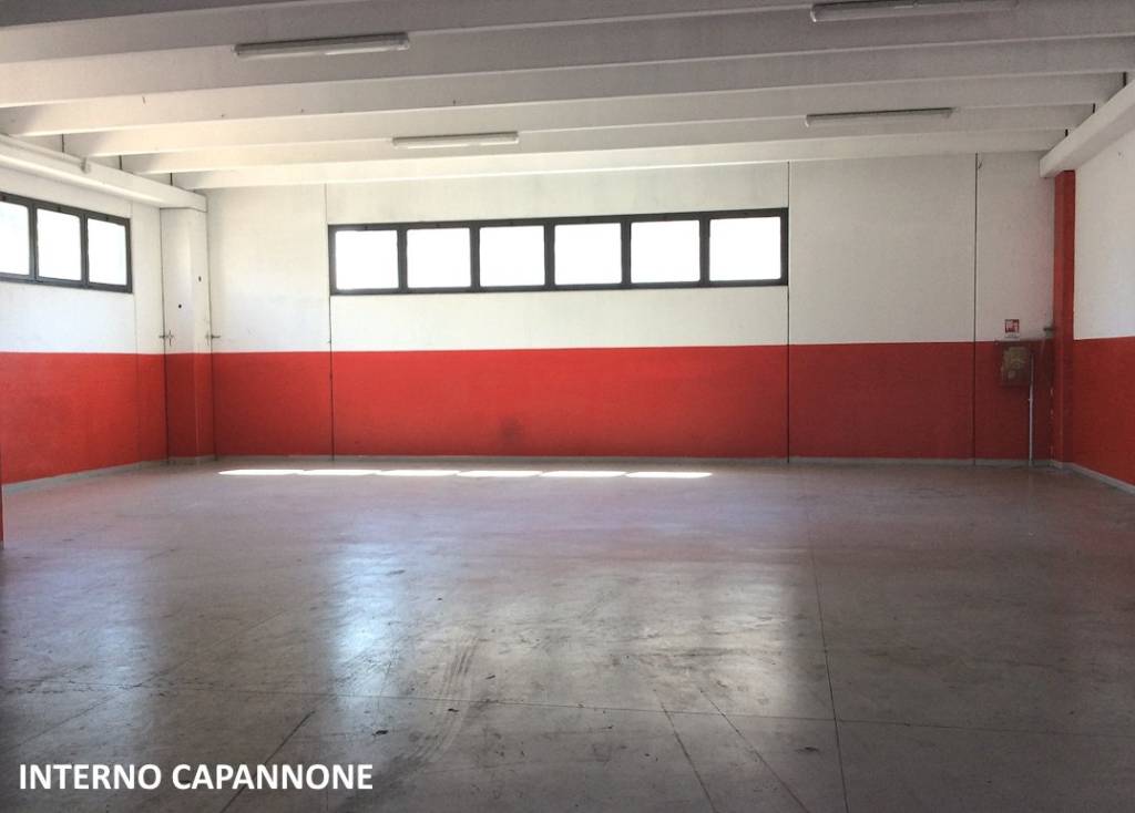 immagine annuncio 2 di 11