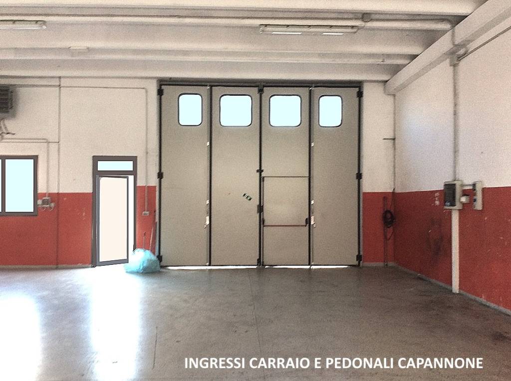 immagine annuncio 3 di 11