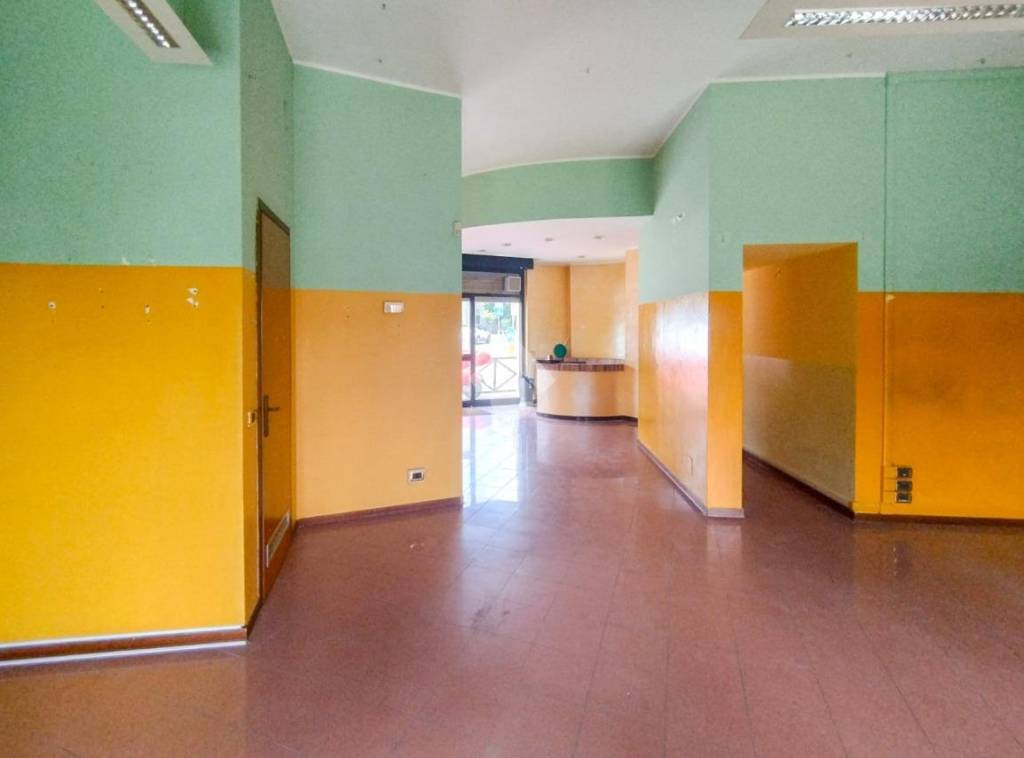 immagine annuncio 9 di 15