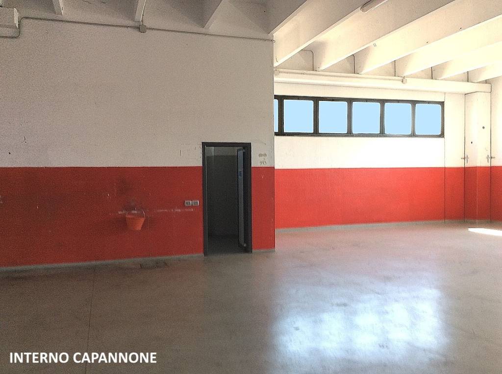 immagine annuncio 5 di 11