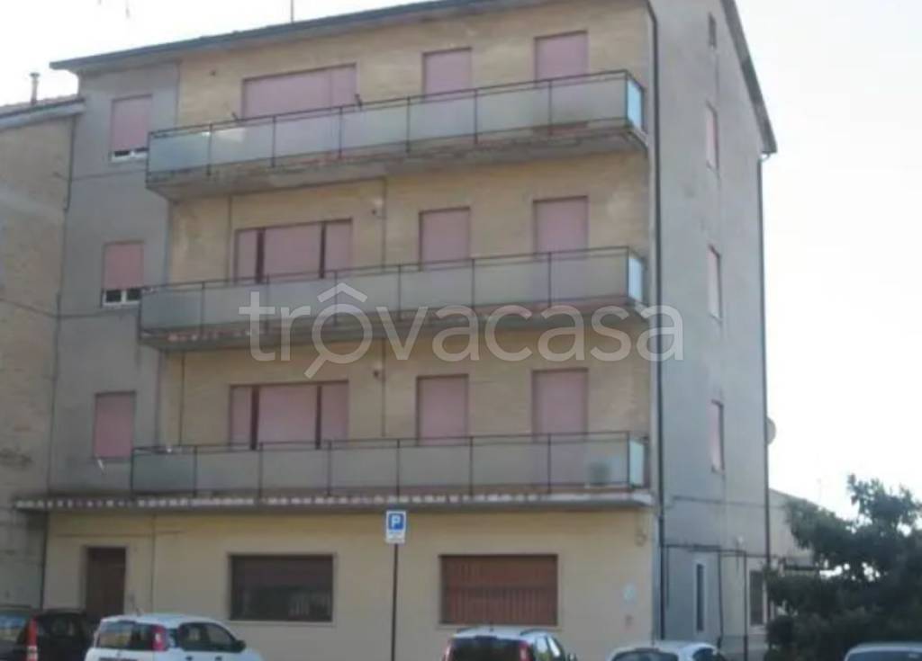immagine annuncio 7 di 12