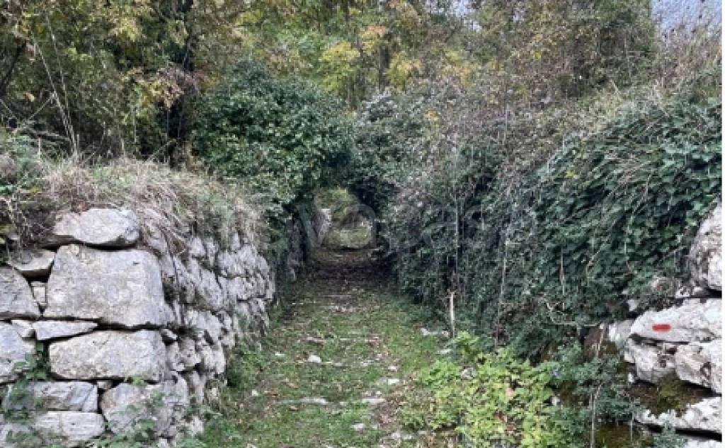 immagine annuncio 5 di 11