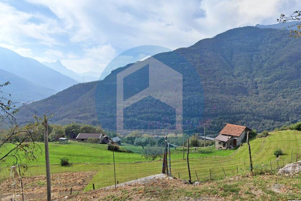 immagine annuncio 1 di 8