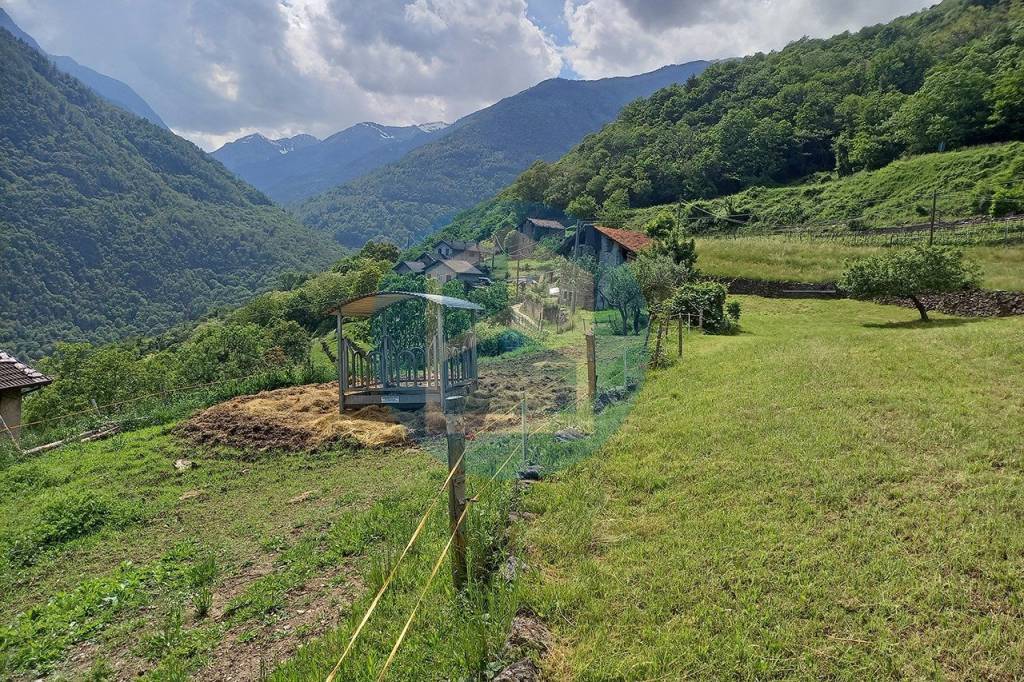 immagine annuncio 2 di 8