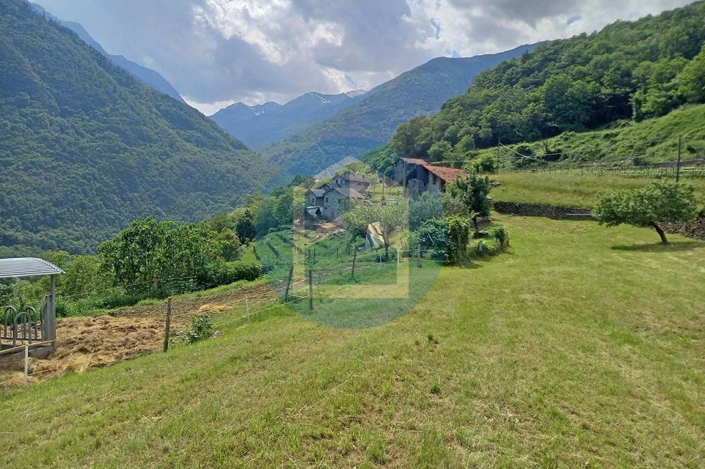 immagine annuncio 3 di 8