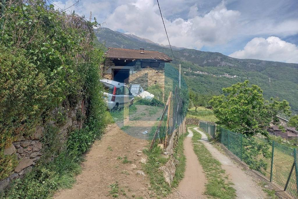 immagine annuncio 6 di 8