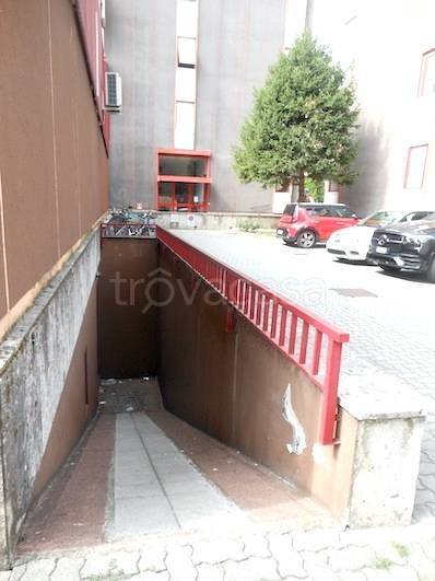 immagine annuncio 12 di 14