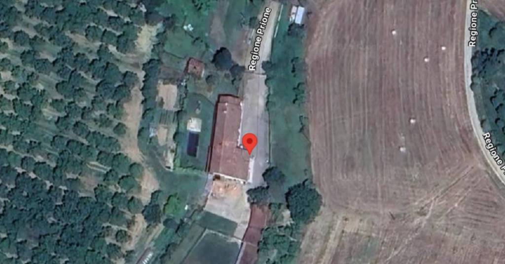 immagine annuncio 2 di 11