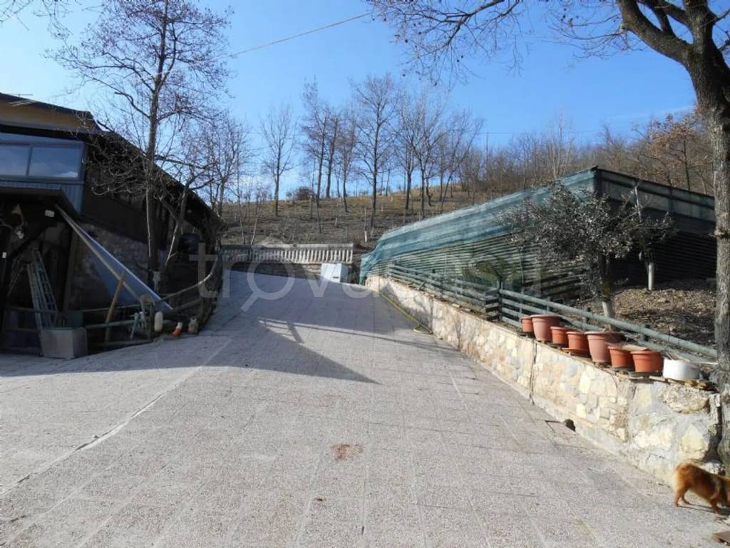 immagine annuncio 8 di 13