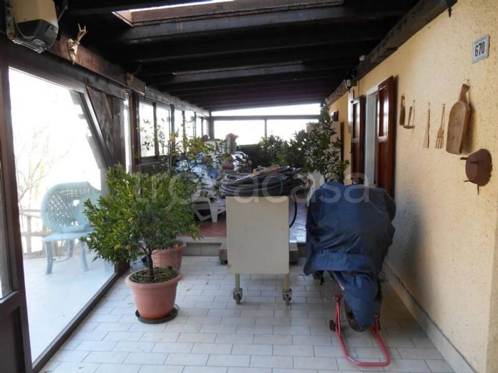 immagine annuncio 11 di 13