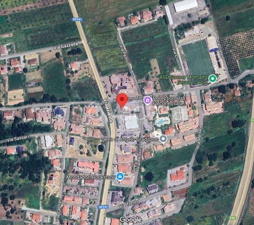 immagine annuncio 2 di 7