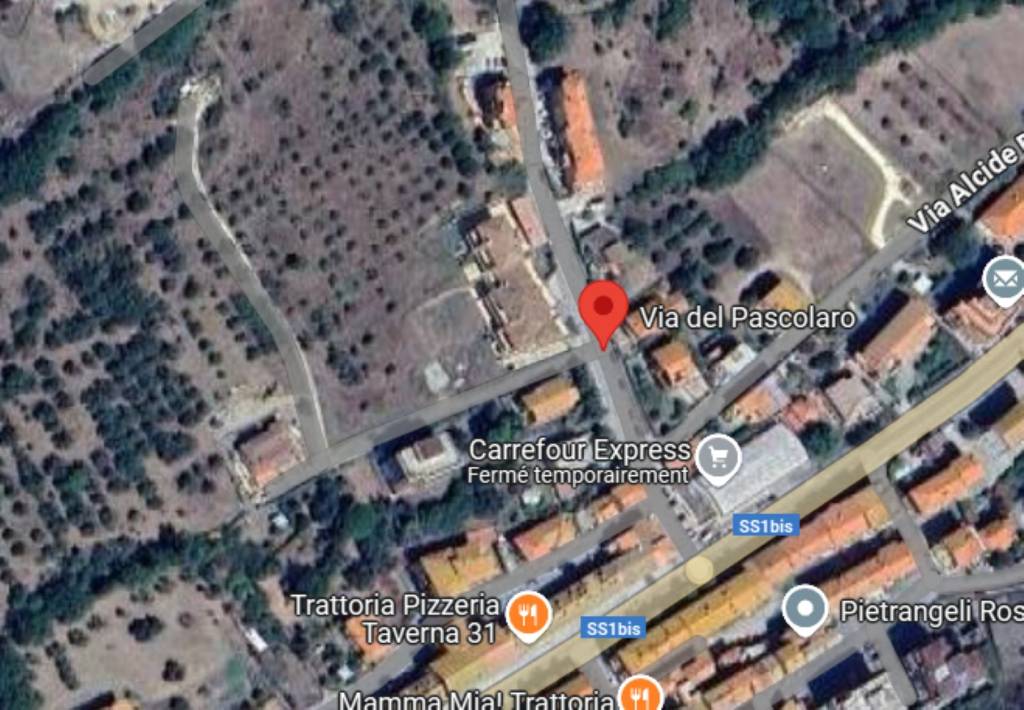 immagine annuncio 6 di 12
