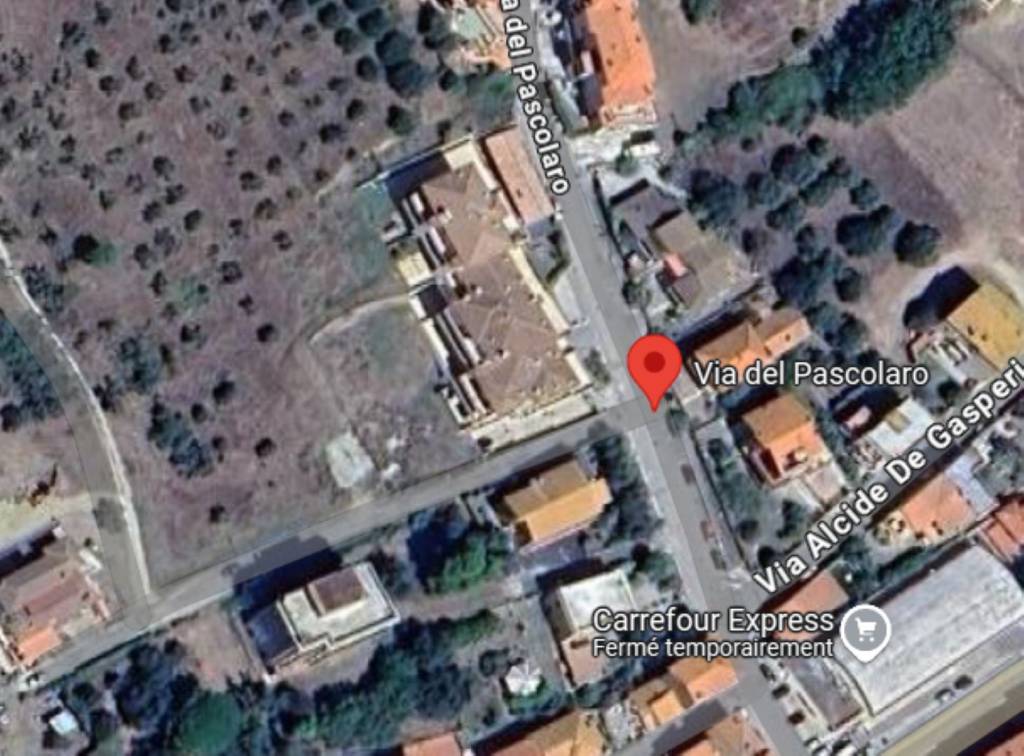 immagine annuncio 7 di 12