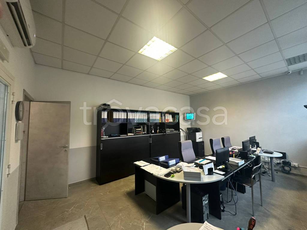 immagine annuncio 4 di 13