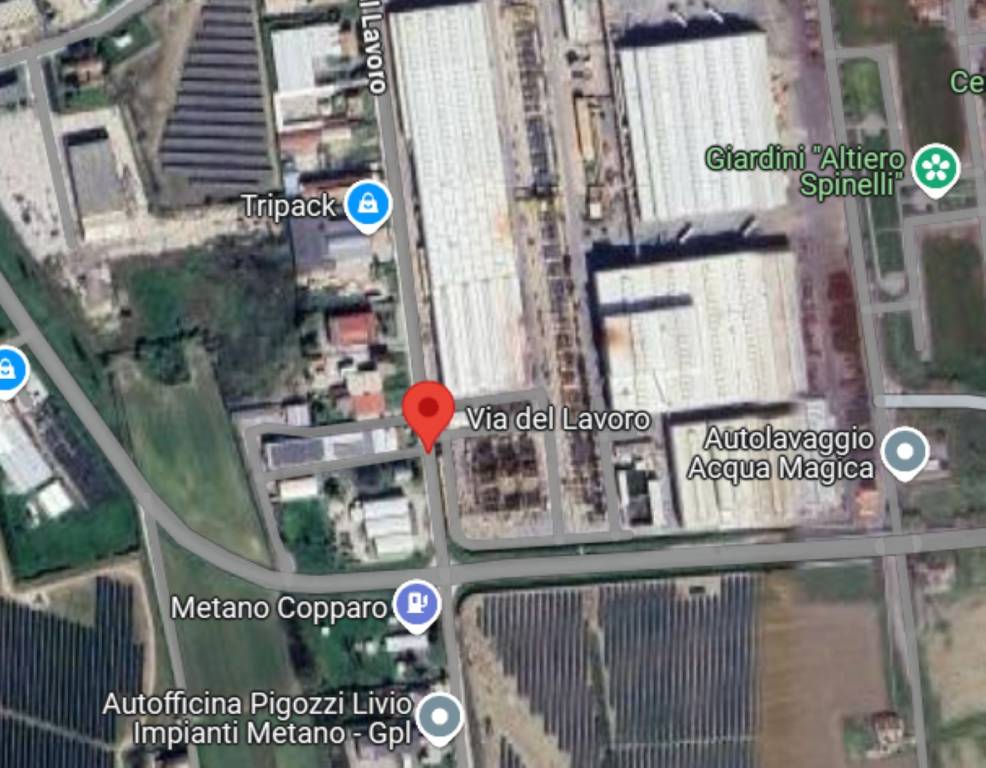 immagine annuncio 5 di 12