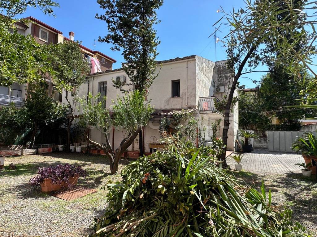 immagine annuncio 8 di 12