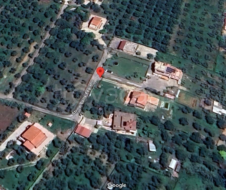 immagine annuncio 4 di 8